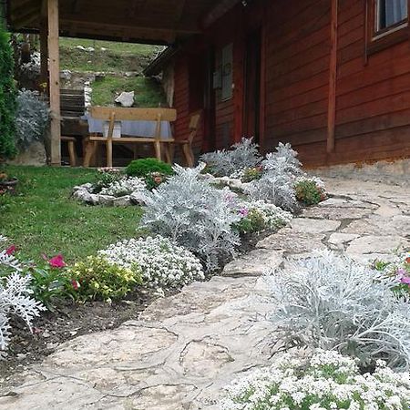 Guest House Villa Jovicic Mokra Gora Luaran gambar