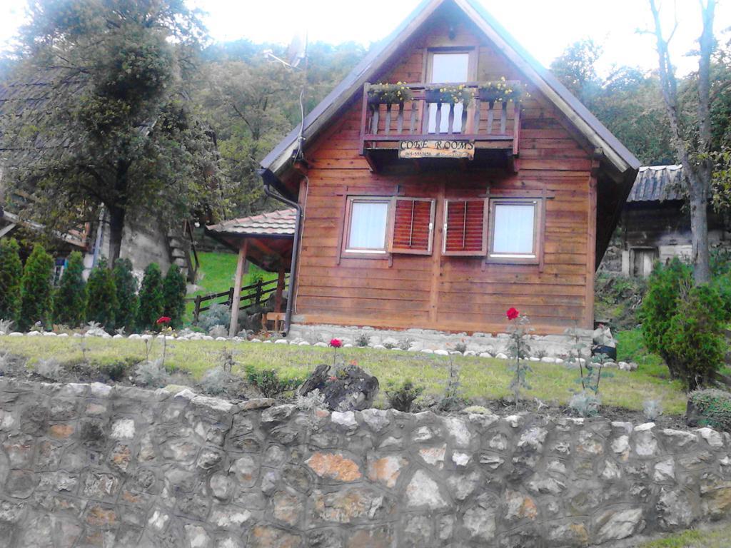 Guest House Villa Jovicic Mokra Gora Luaran gambar