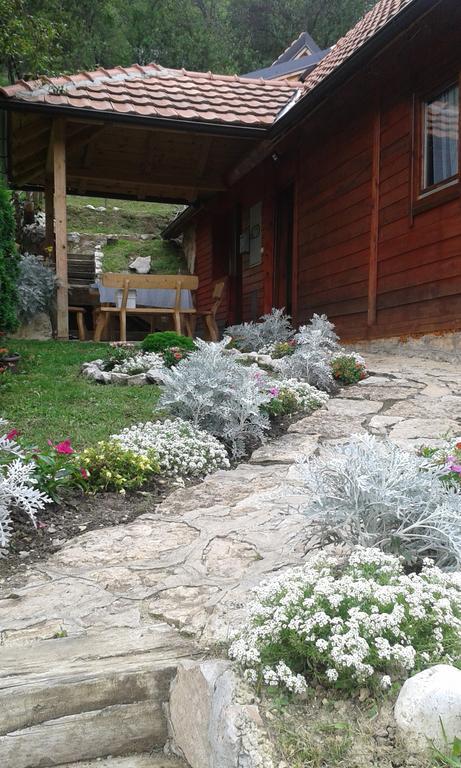 Guest House Villa Jovicic Mokra Gora Luaran gambar